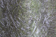 Almeley Wootton fibreglass roof work